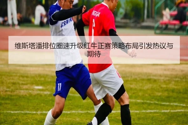 维斯塔潘排位圈速升级红牛正赛策略布局引发热议与期待